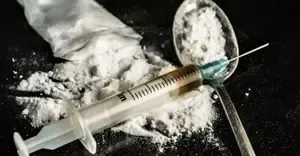 Rajasthan Operation Nets Rs 40 Crore in Drugs and Weapons