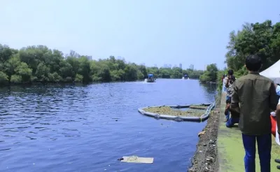 Did the ED Freeze Rs 47 Crore in the Mithi River Desilting Scam?