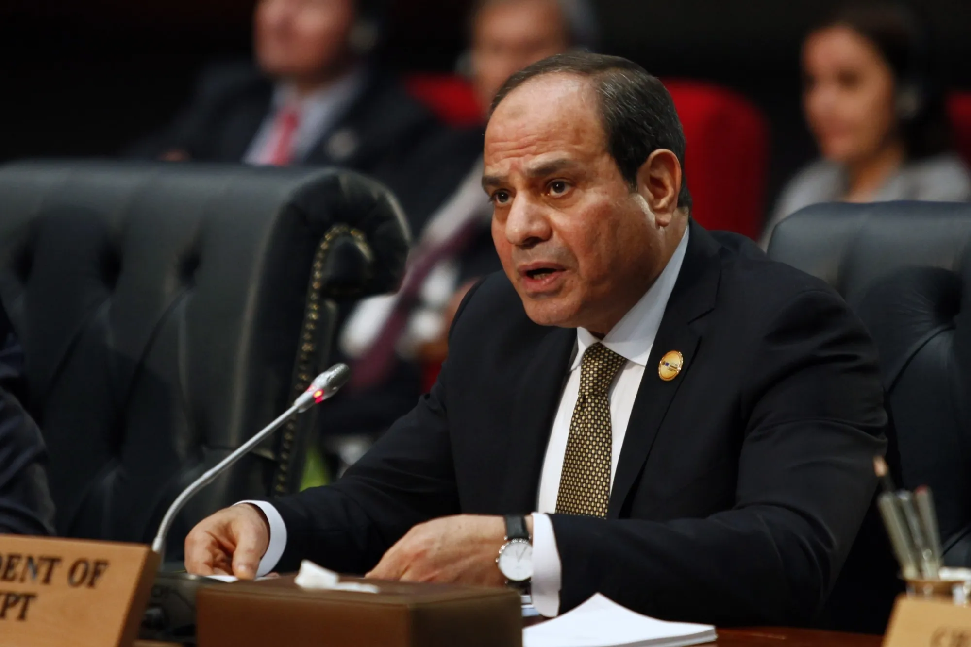 Egypt Stresses the Two-State Solution as the Sole Path to Mideast Peace