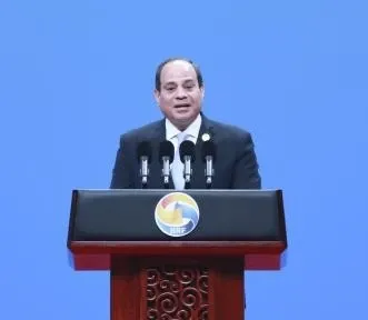 What Did the Egyptian President Urge During His Meeting with a US Official?