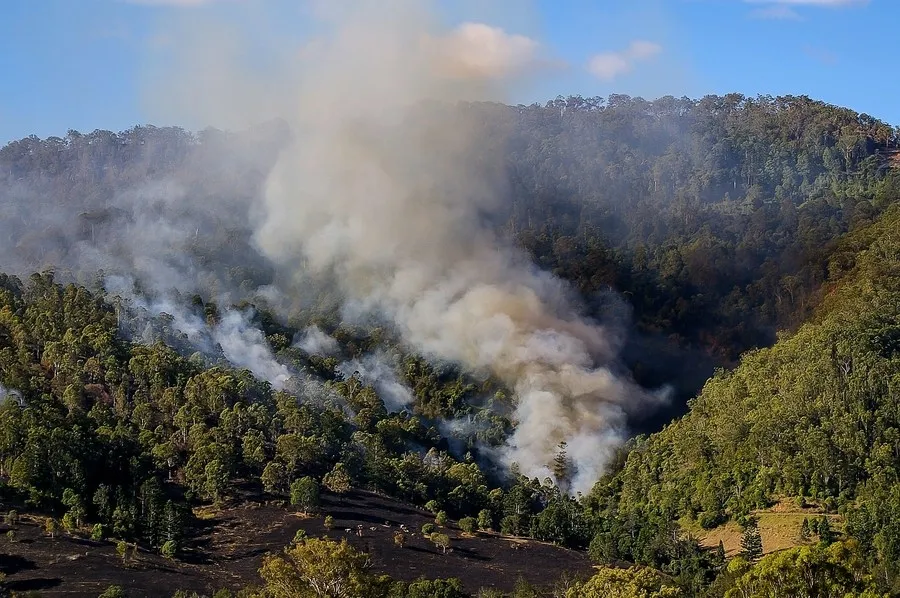 Urgent Alert Issued for Bushfire in Southeastern Australia Amidst Heatwave