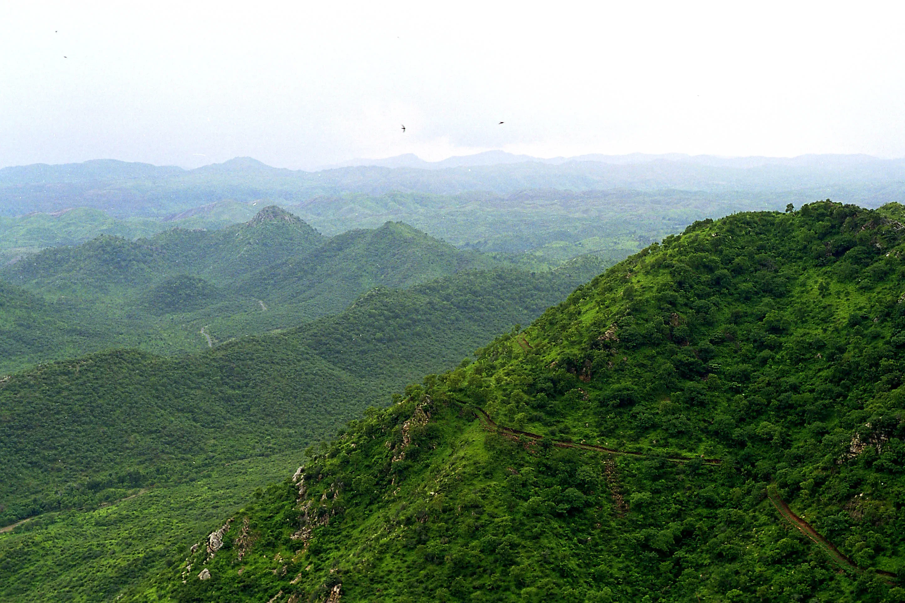 Call for Strong Measures Against Unlawful Mining in the Aravali Range: Gurugram Deputy Commissioner