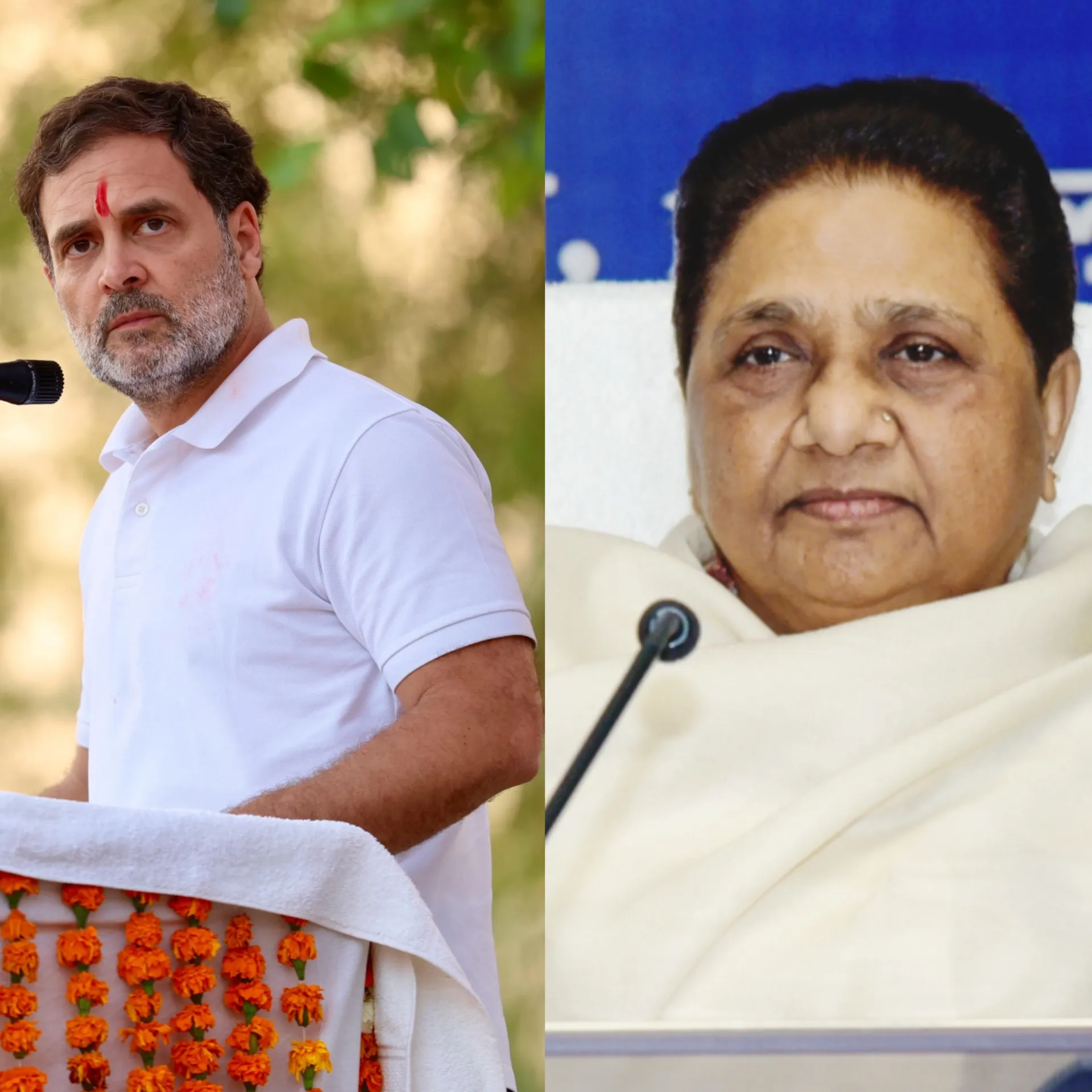 FairPoint: Rahul Gandhi's Critique of Mayawati's Strategy in UP