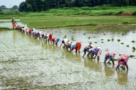 How are Farmers in Bihar and Jharkhand Responding to the PM Dhan-Dhaanya Krishi Yojana?