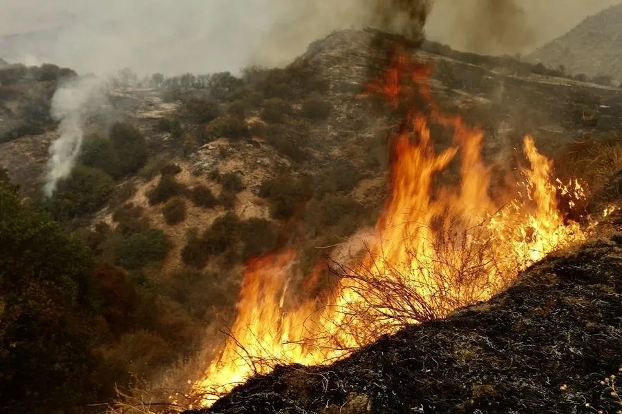 What’s Causing the Fast-Moving Wildfire That Forces Evacuations in Southern California?