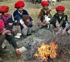 Fatehpur Experiences Frigid 1.1 Degrees as Cold Wave Hits Rajasthan