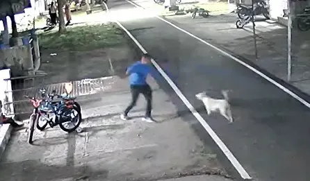 FIR Launched Against Army Personnel for Fatal Dog Beating in TN