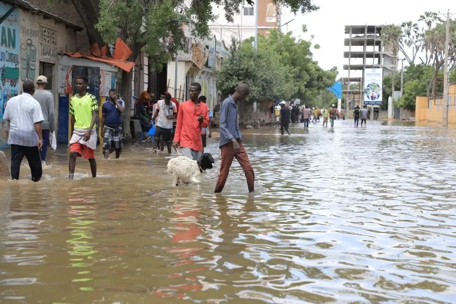 What Caused the Recent Flash Floods in Somalia that Killed 17 and Displaced Over 84,000?
