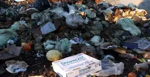 Food Waste Reduction: India Performs Better Than Global Average of 79 kg per Capita