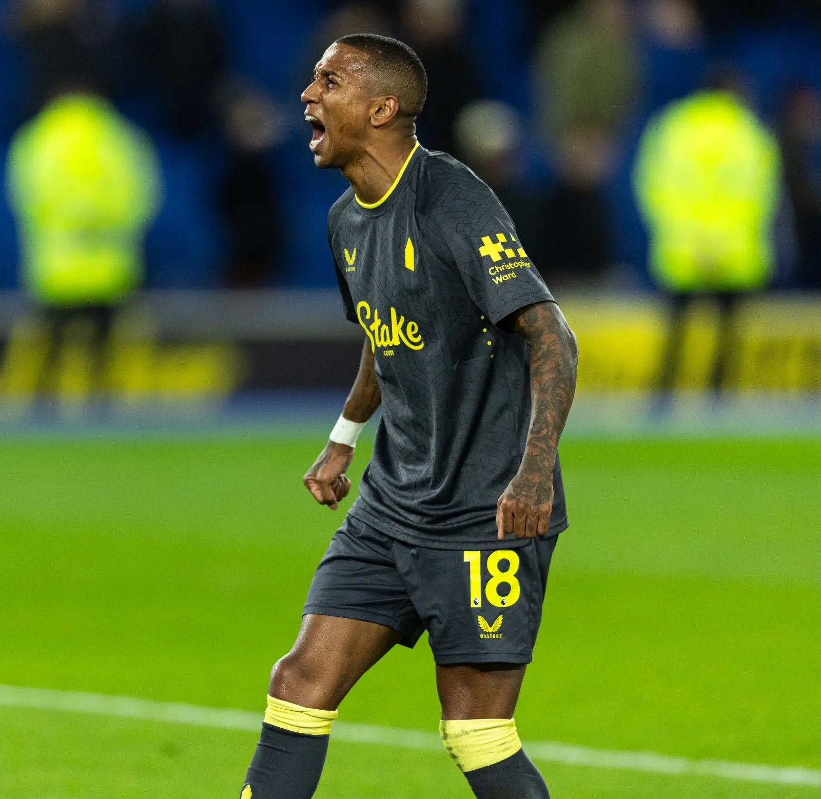 Are Ashley Young, Begovic & Virginia Departing from Everton?