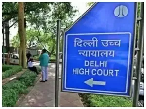 Delhi HC Informed by Atishi-led Government on Forwarding CAG Reports to L-G