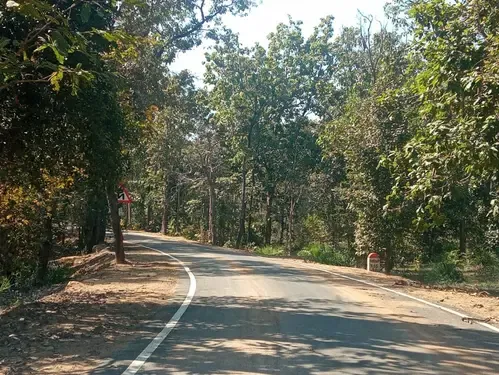 Four Maoists and a Police Officer Die in Clash in Bastar, Chhattisgarh