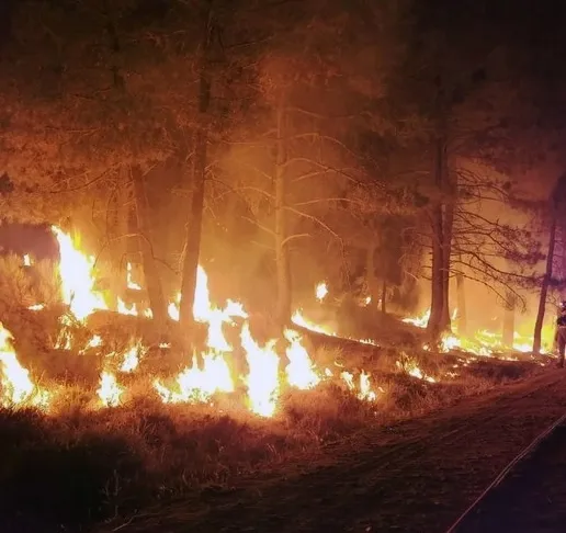 Is France Facing a Wildfire Larger than Paris? One Dead as Blaze Spreads Quickly