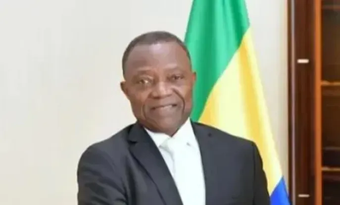 Gabon’s Constitutional Court Validates Constitutional Referendum Outcomes