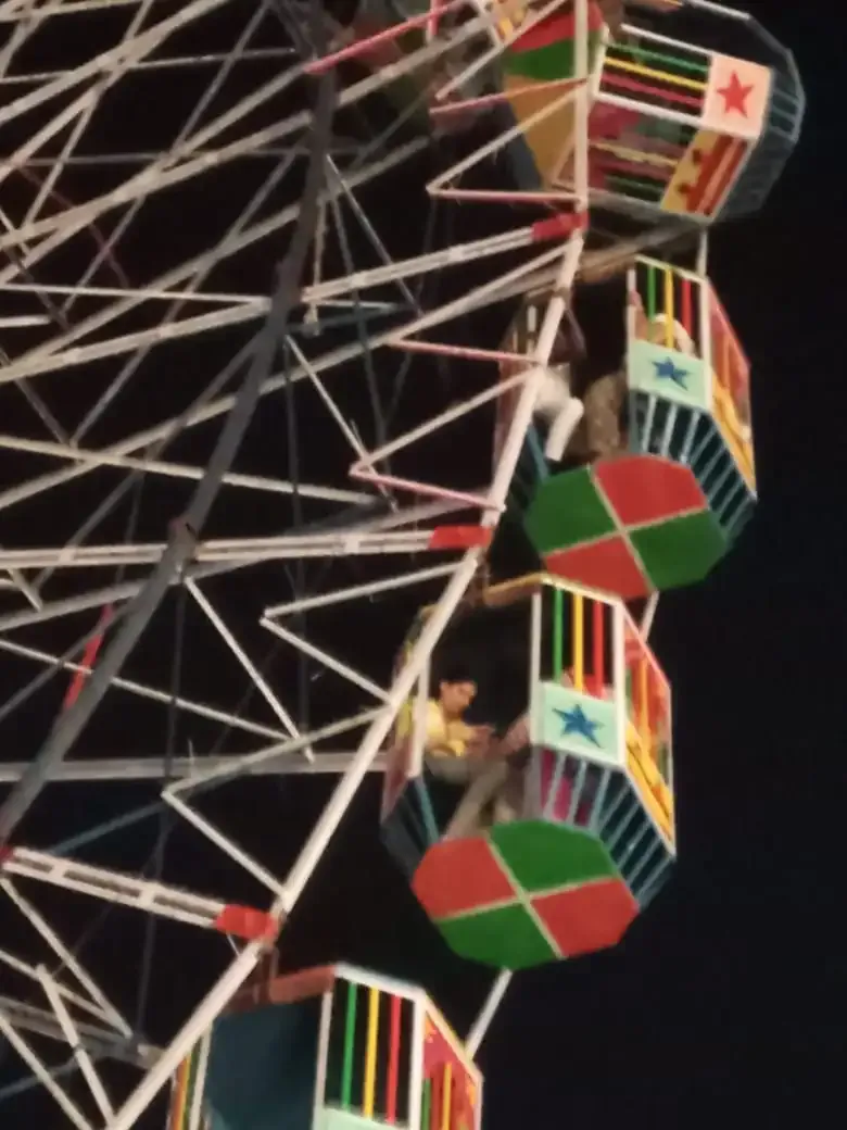 What Happened at the Giant Wheel in Chennai? Amusement Park Temporarily Closed After Visitors Stranded Mid-Air