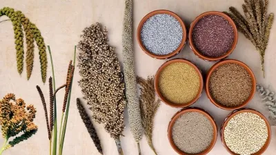 Will a Global Centre of Excellence on Millets be Established in Hyderabad?