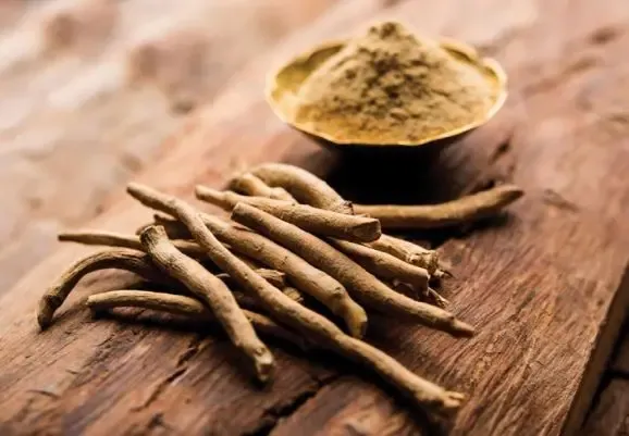 Global Research on Ashwagandha Rises 111.58% from 2019 to 2024: Ministry