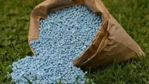 Government Increases Fertiliser Subsidy for Farmers Amid Global Price Surge: Minister