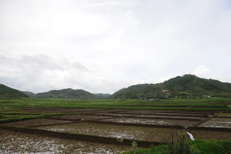 Government Allocates Rs 122 Crore to More Than 1,700 Agricultural Startups: Minister