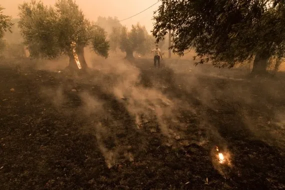 Is Greece Seeking EU Help as Wildfires Devastate Its Landscape?