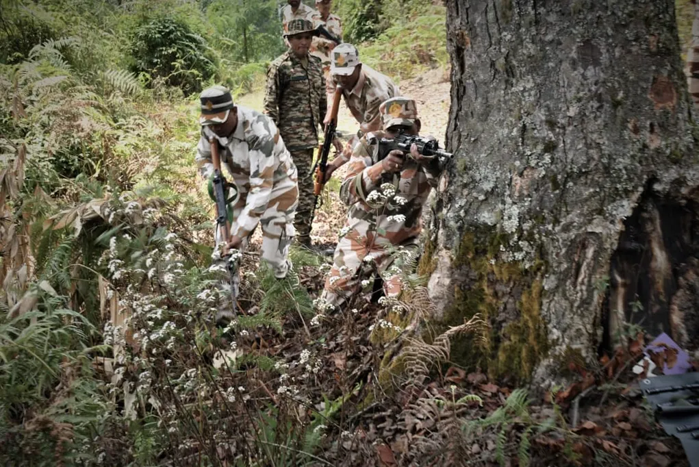 How can India effectively counter grey zone warfare from Pakistan and China?