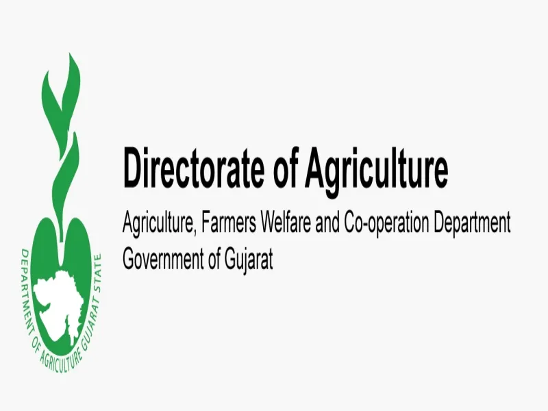 Guj: How Are Statewide Helplines Tackling Farmers’ Fertiliser Issues?