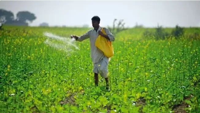 Gujarat's 2025 Budget: Enhanced Smartphone Subsidy for Farmers