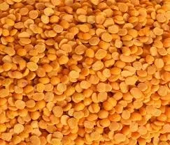 Gujarat Government Prolongs Tur Dal Purchase Deadline to April 30