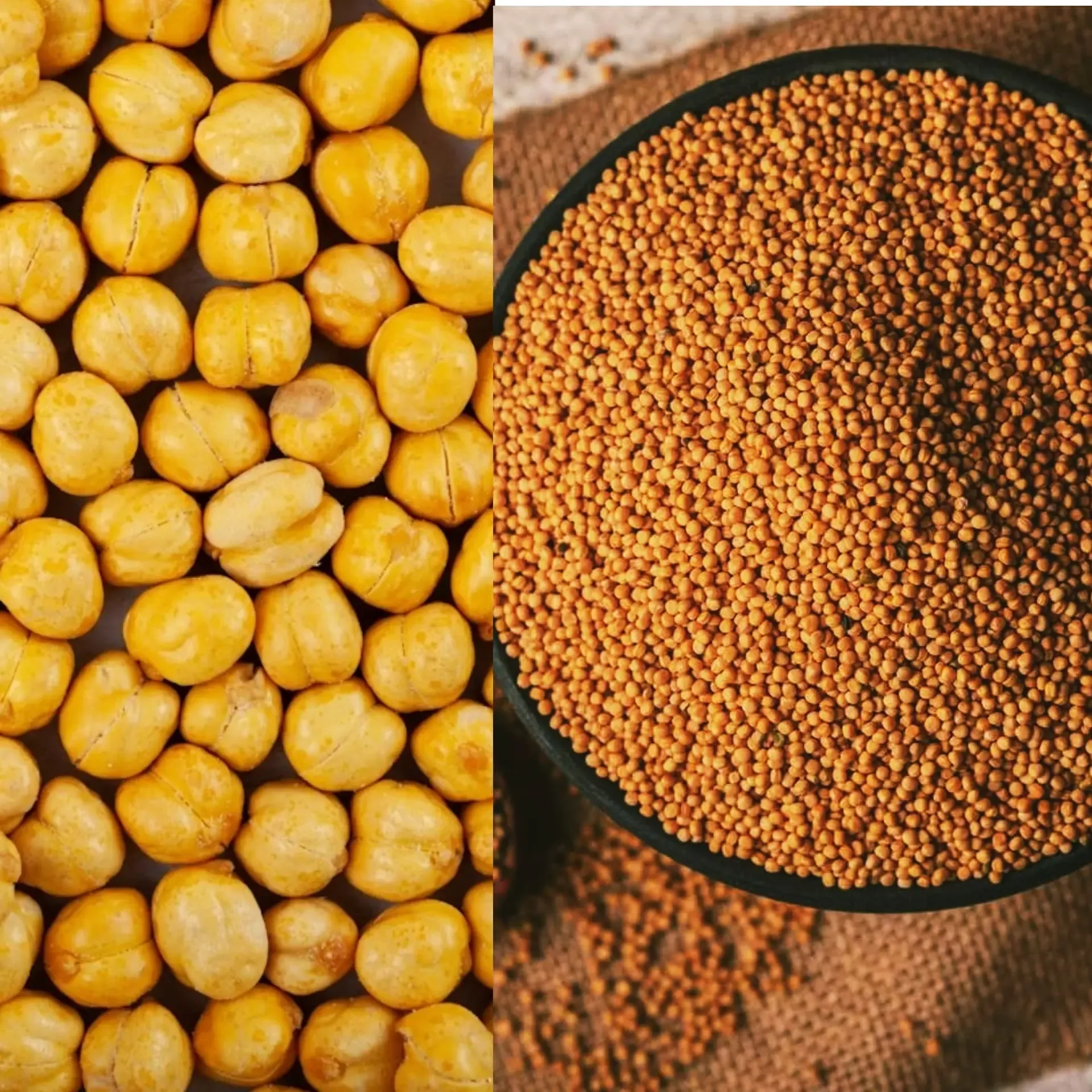 Gujarat Government to Acquire Chickpeas and Mustard at MSP