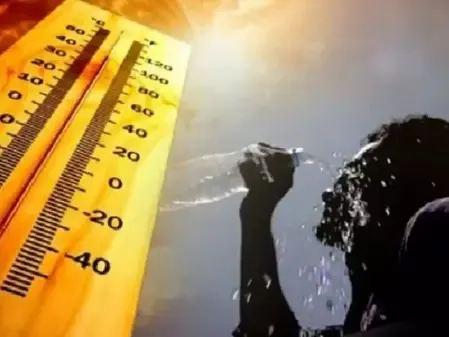 Gujarat Heatwave: IMD Predicts Further Temperature Surge