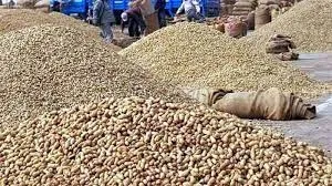 Gujarat Acquires 10 Lakh MT of Groundnuts Worth Rs 6,700 Crore: Agriculture Minister