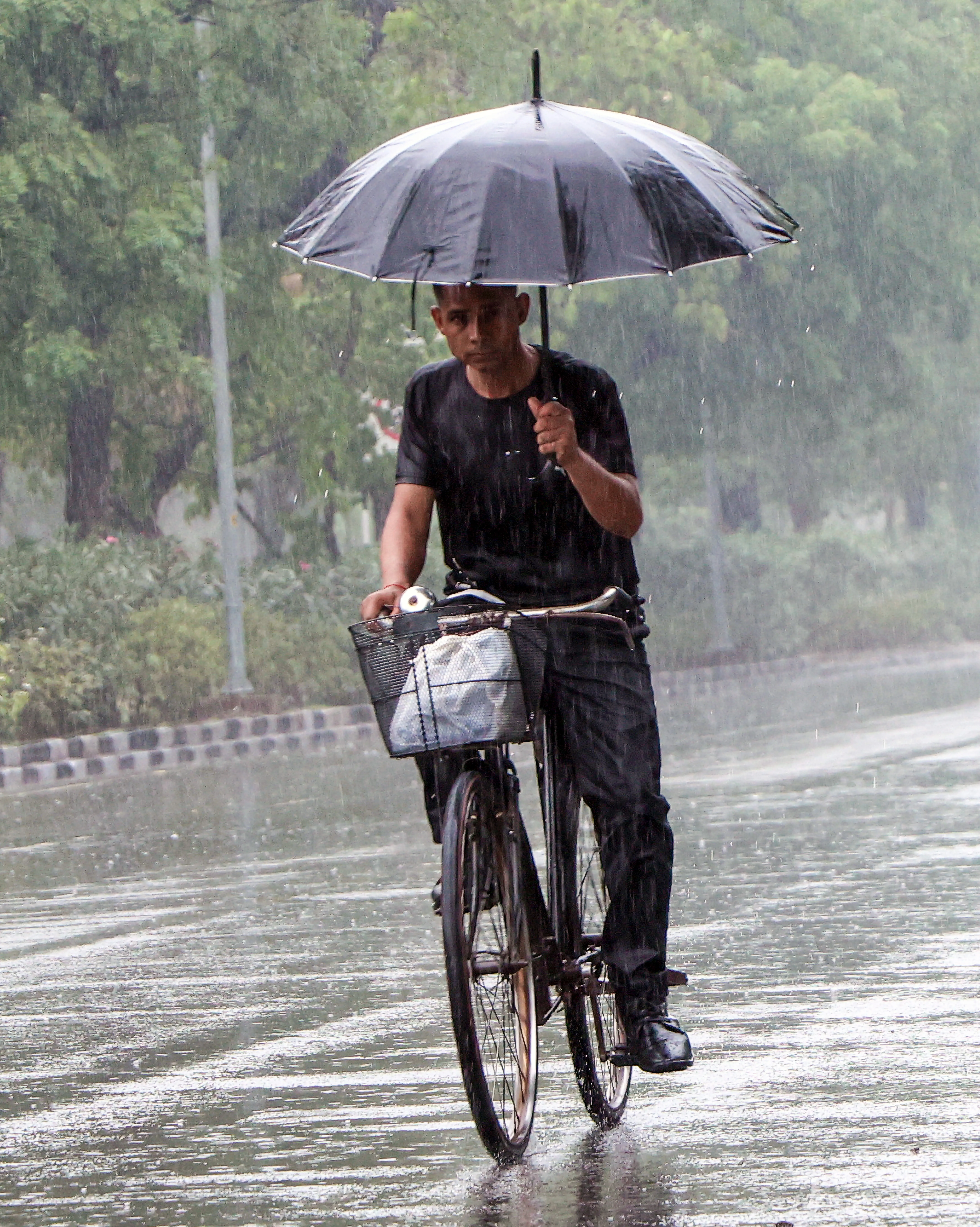 What is Behind the Widespread Rainfall in Gujarat?