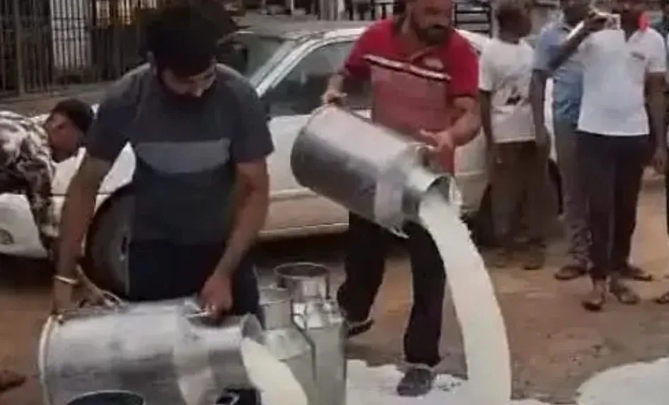Has Sabar Dairy Increased Milk Prices Amid Protests?