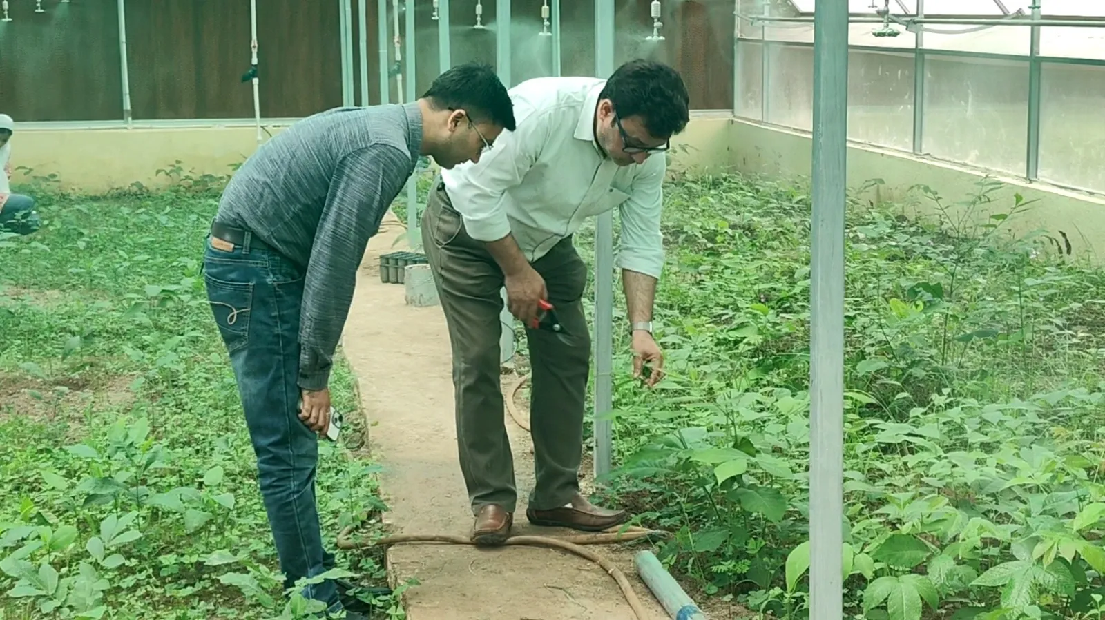 How is HADP Enhancing Horticulture in J&K’s Poonch and Doubling Farmers’ Income?