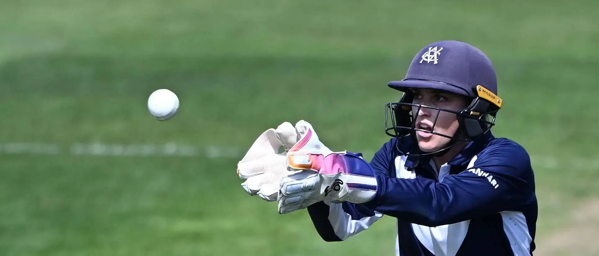 Healy Excluded, Aus Selects Uncapped Faltum for McGrath-led Squad Against NZ T20Is