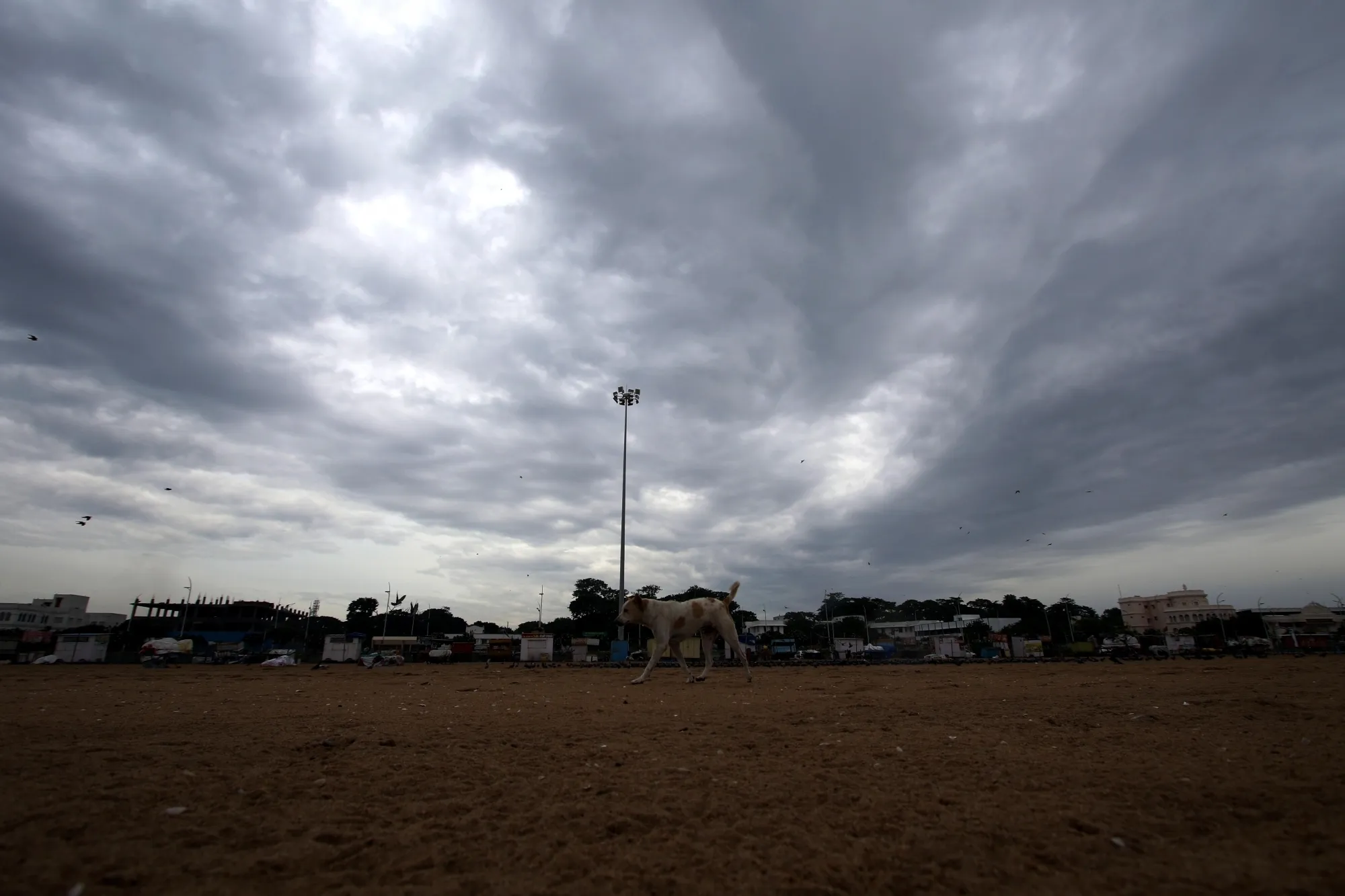 Will the Western Ghats and Interior TN Districts Experience Heavy Rain Until May 16?