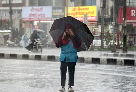 Is Heavy Rain Expected in MP’s Chhatarpur, Tikamgarh, and Chambal Region?
