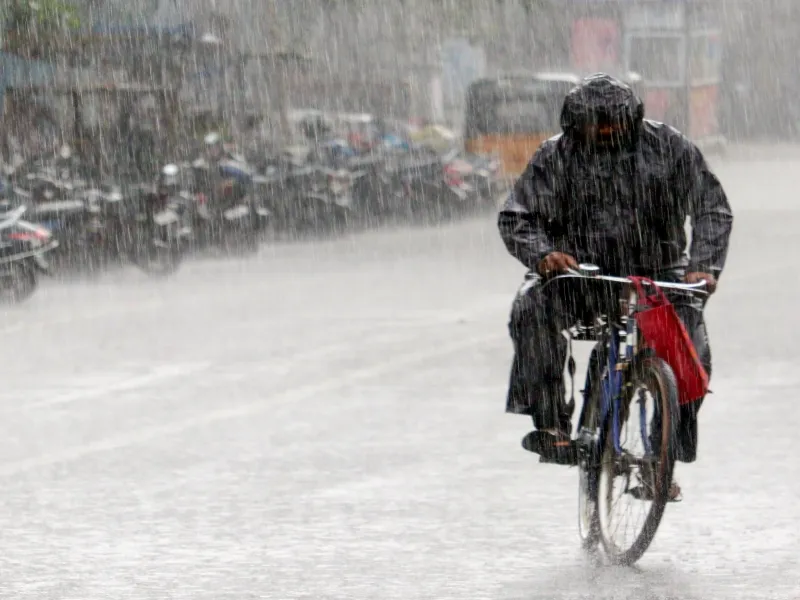 What Impact Did Heavy Rainfall Have on Gwalior and Chambal Divisions?