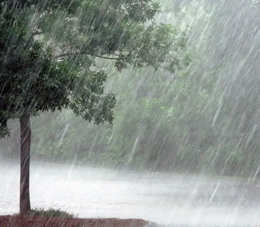 Severe Rainfall Expected in Tamil Nadu, Orange Alert Issued for Three Districts