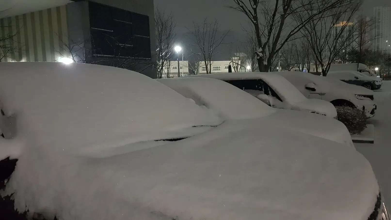 South Korea Experiences Heavy Snowfall During Lunar New Year