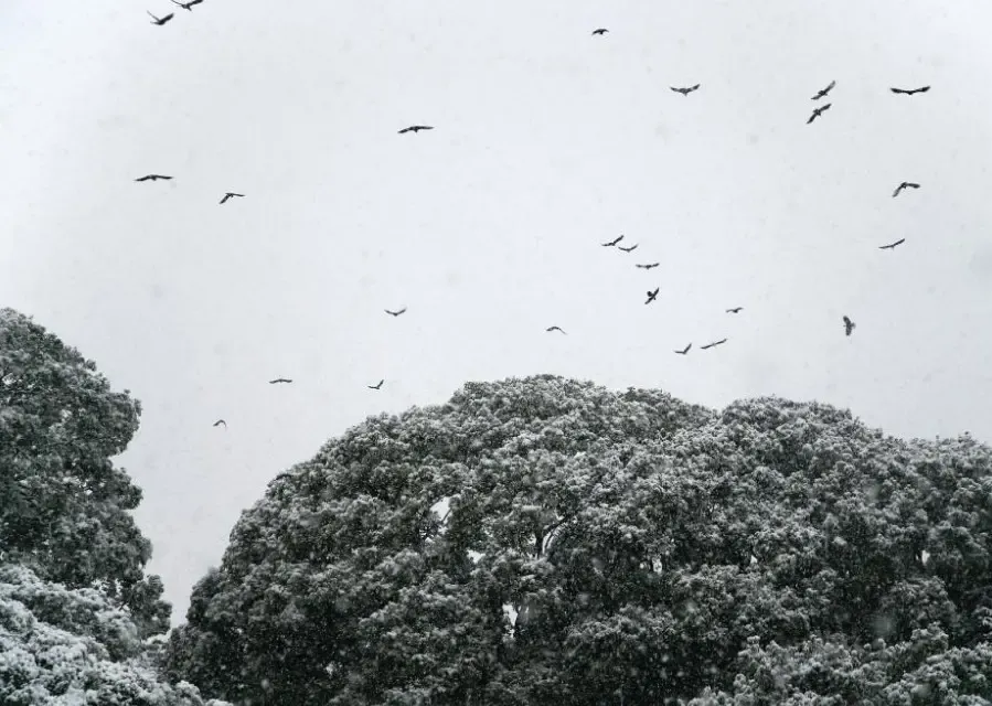 Significant Snowfall Expected Across Japan Until Tuesday