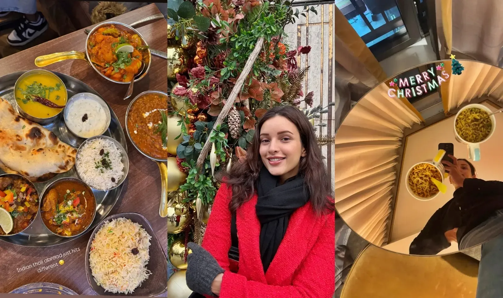 Why Triptii Dimri Enjoys Indian Thali While Traveling Abroad