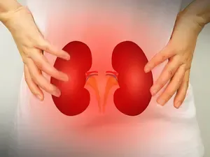 Hypertension May Compromise Kidney Function Before Symptoms Emerge: Research