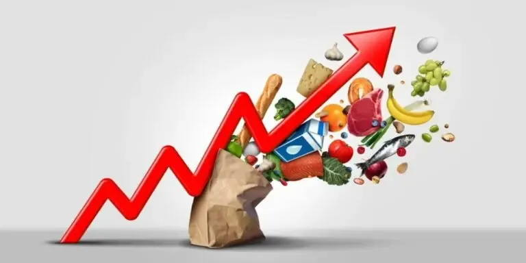 High Inflation Reduced Purchasing Power and Affected Household Savings Before 2014: Government