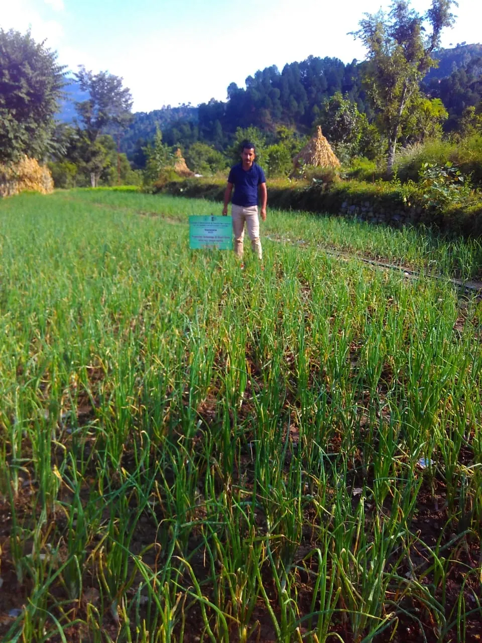 Himachal Pradesh Faces Its Driest Winter in Eight Years, Horticulture University Warns Farmers