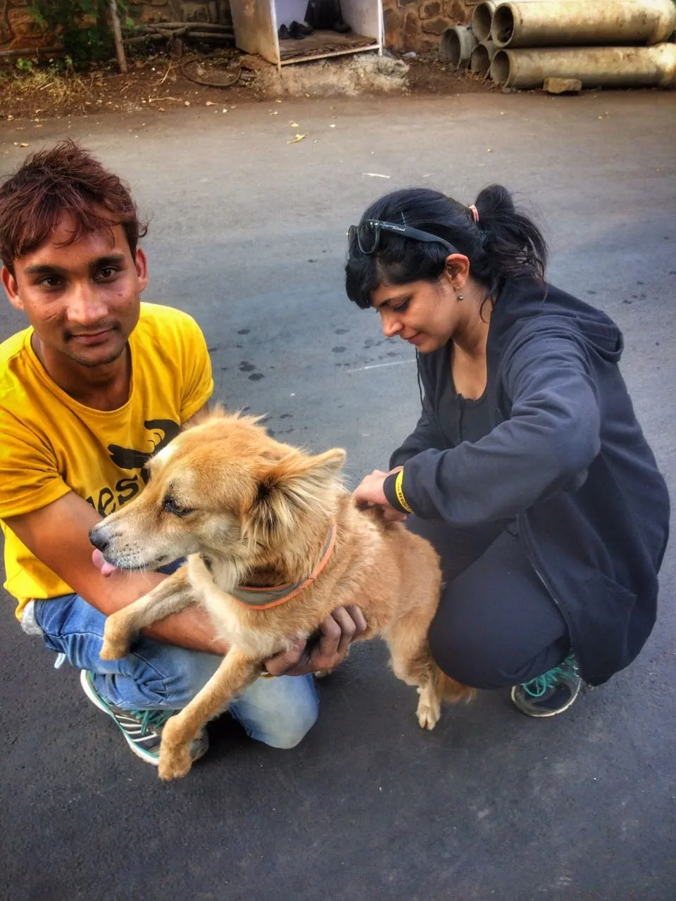 क्या भारत के 80 प्रतिशत सार्वजनिक स्वास्थ्य केंद्रों में एंटी-रेबीज वैक्सीन उपलब्ध है? : लैंसेट रिपोर्ट
