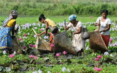 क्या केंद्र ने असम और त्रिपुरा में कमजोर वर्गों के विकास के लिए 4,250 करोड़ रुपए के पैकेज को मंजूरी दी?