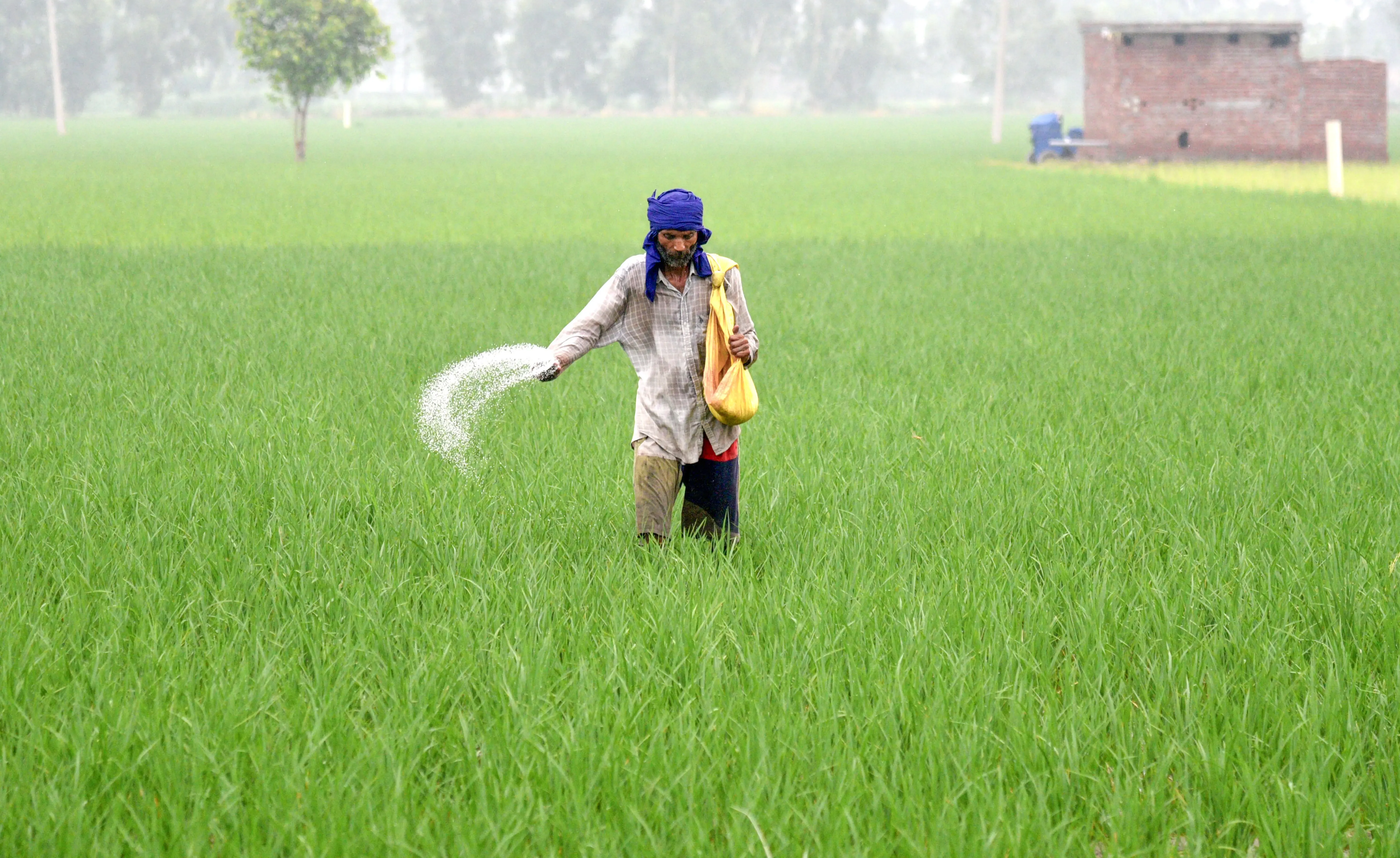 क्या सरकार किसानों को यूरिया का कम उपयोग करने के लिए प्रोत्साहित कर रही है?