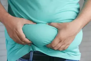 The Brain's Crucial Role in Obesity Development