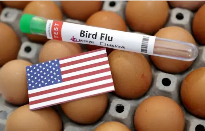 Rising Human Deaths from Bird Flu Prompt Urgent Need for Monitoring and Genome Sequencing: Experts
